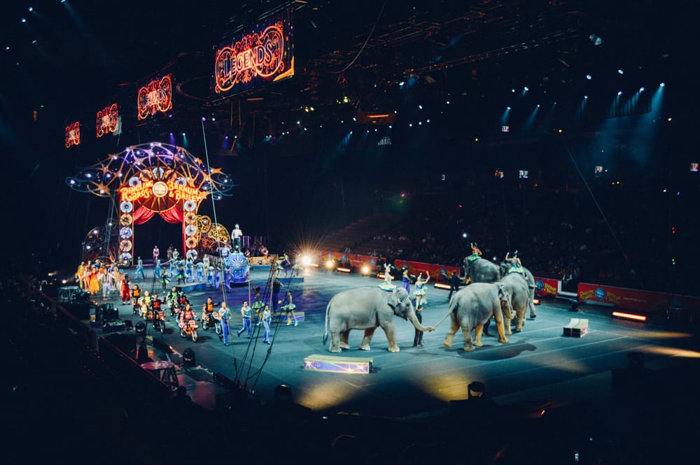 The South African Circus post image