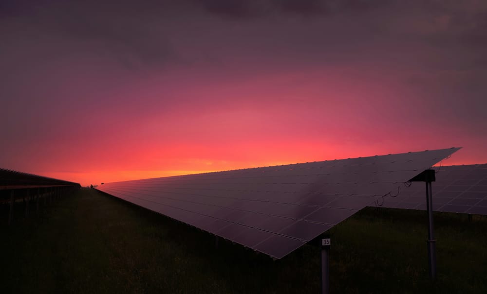 Solar Harvest post image